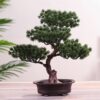 Festival Potted Plant Simulation Decorative Bonsai Home Office Pine Tree Gift DIY Ornament Lifelike Accessory Artificial Bonsai