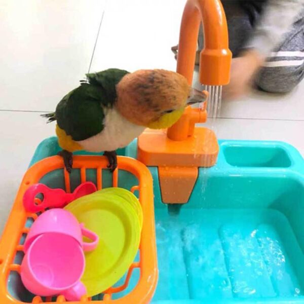 Bird Feeder Automatic Parrot Bathtub Swimming Pool Faucet Parrot Bath Shower Water Dispenser Bird Cage Bathroom Parrot Toys