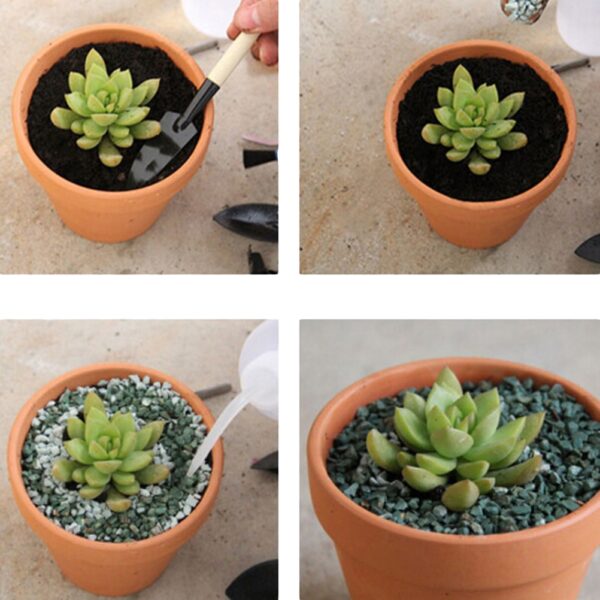 10Pcs Small Mini Terracotta Pot Clay Ceramic Pottery Planter Cactus Flower Pots Succulent Nursery Pots Great