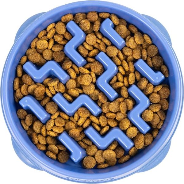 Outward Hound Fun Feeder Slo Bowl for Dogs